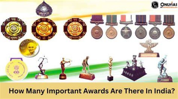 How many awards Dhoni have?