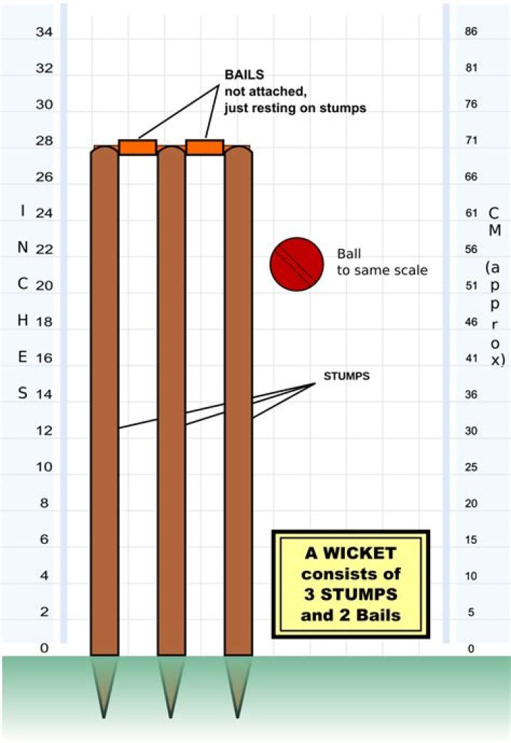 How many bails are there in cricket?