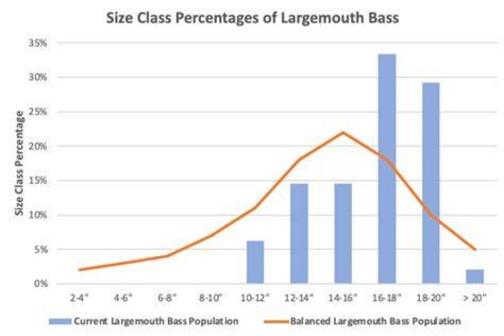 How many bass are in a pond?