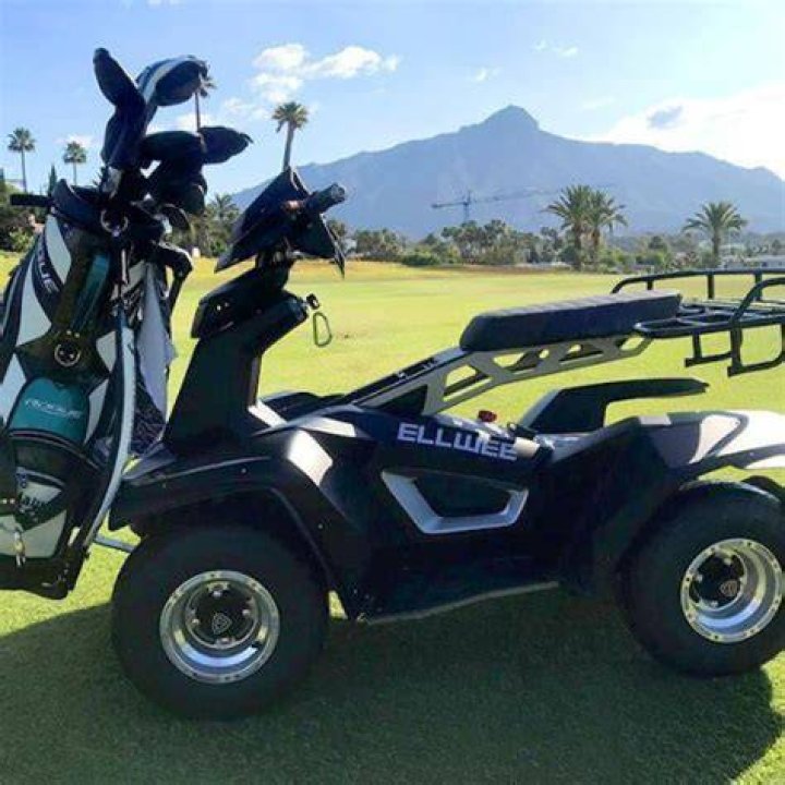 How many batteries are in an electric golf cart?