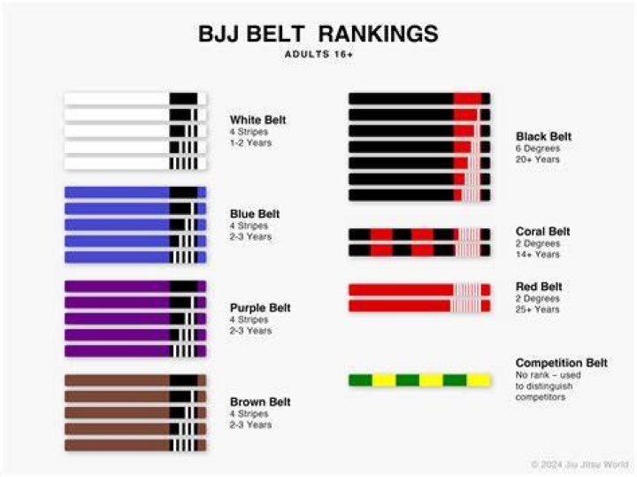 How many black belts BJJ in the world?