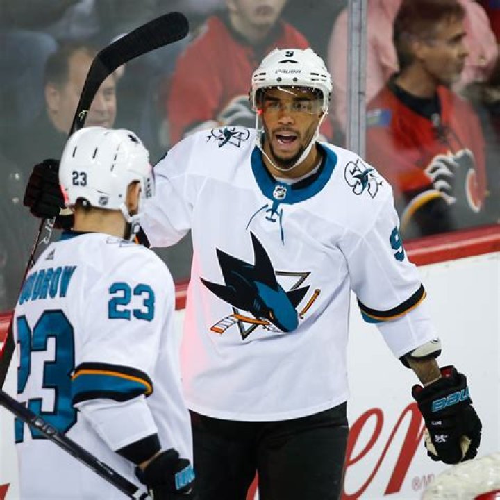 How many black NHL players are there currently?