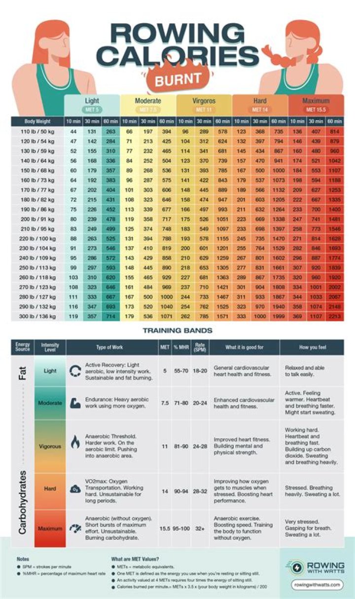 How many calories burned rowing 30 minutes?