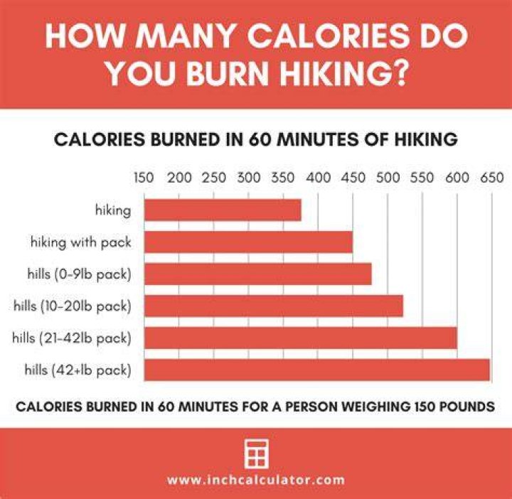How many calories do you burn doing aerial silks?