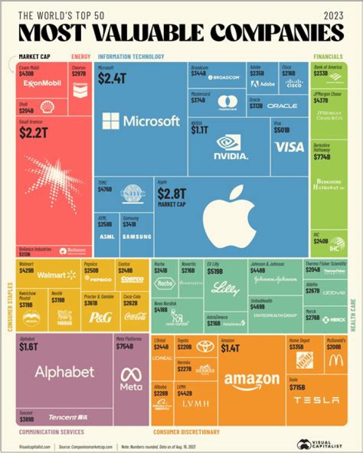 How many companies have diversity programs?