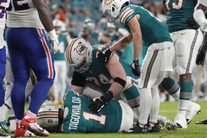 How many concussions did Jay Cutler have?