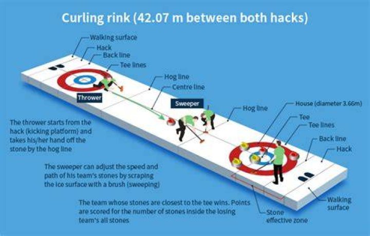 How many curling rinks are in Minnesota?
