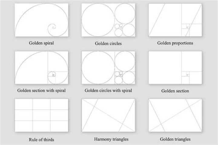 How many dogs does the golden ratio have?