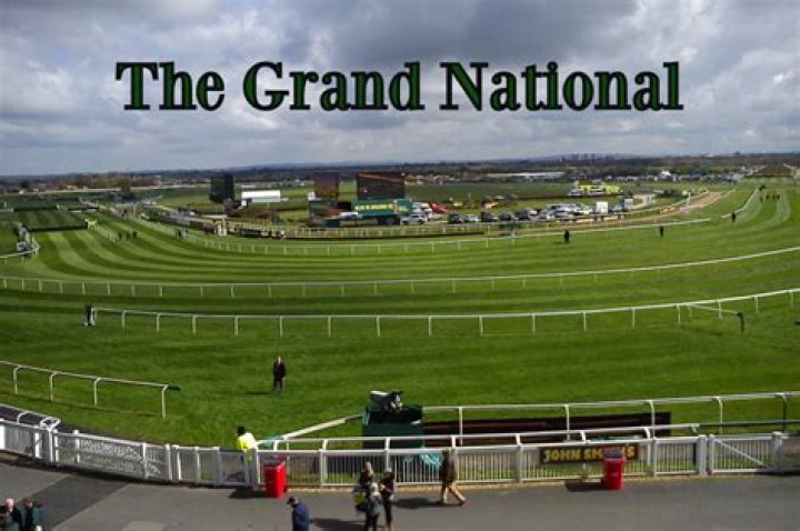 How many finished the Grand National 2022?
