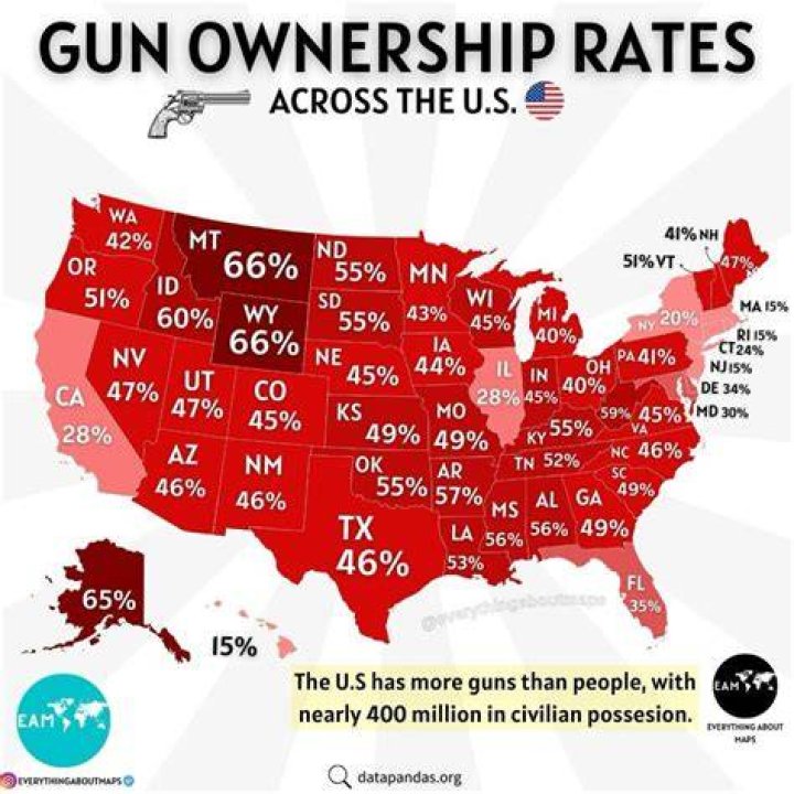How many gun owners are there in the United States?