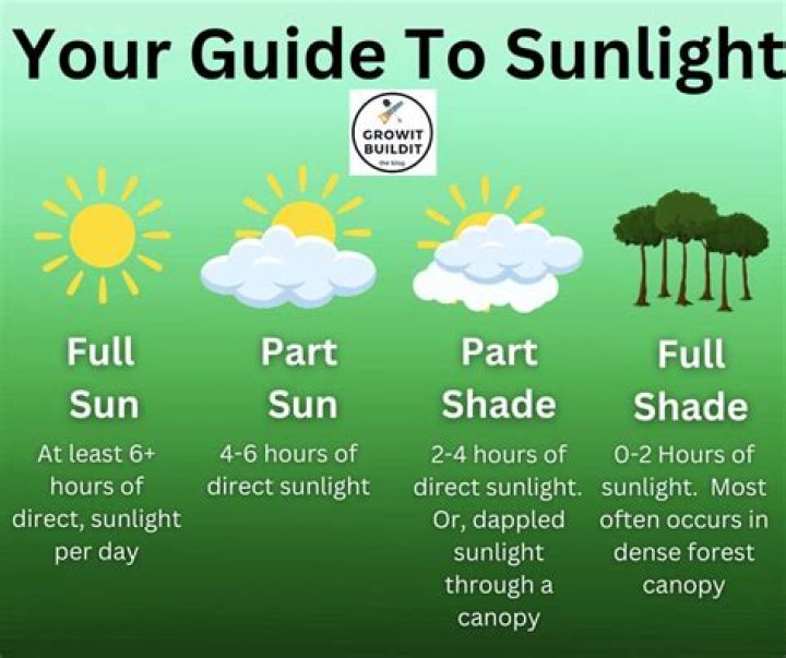 How many hours of sun is full shade?