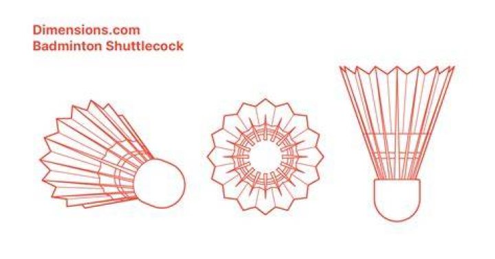 How many kinds of shuttlecock have?