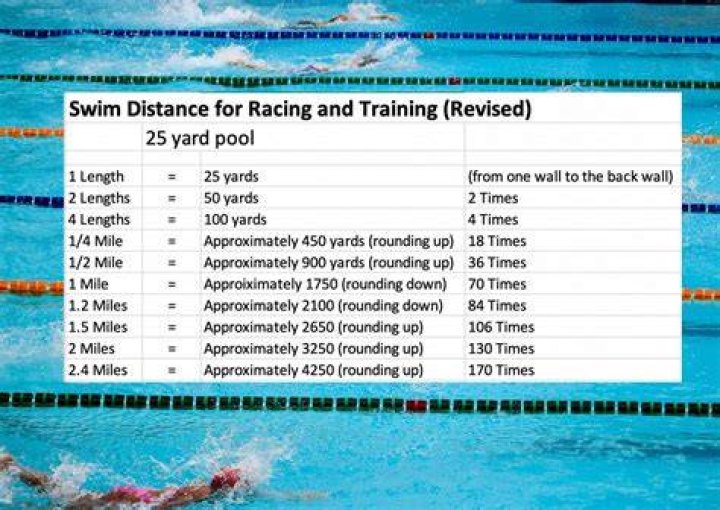 How many laps in the pool is a good workout?