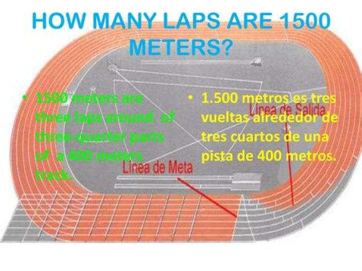 How many laps is the Goodyear 400?