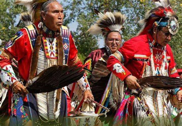 How many Native Americans went to Harvard?