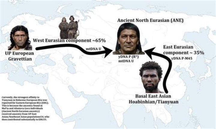How many native Siberians are there?