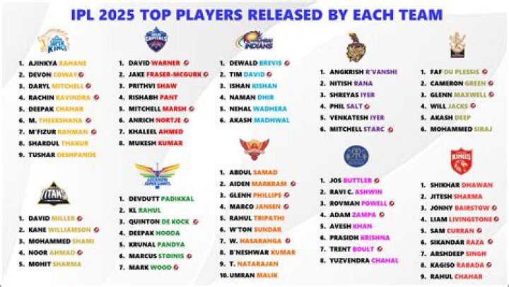 How many players are in IPL team?