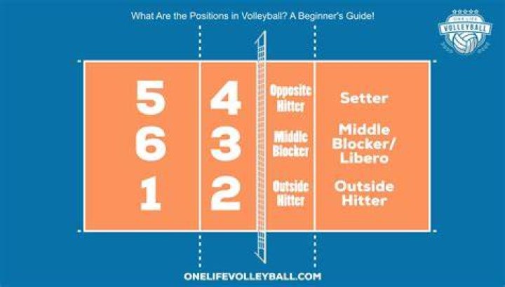 How many positions are there in volleyball?
