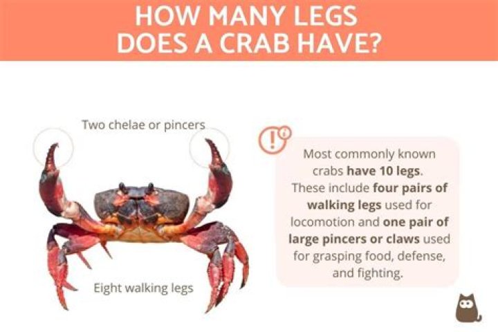 How many pounds crab legs for 4 adults?