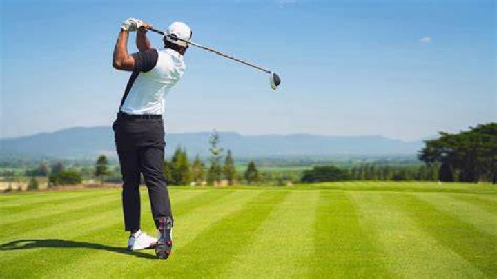 How many pro black golfers are there?