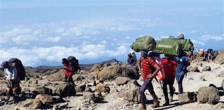 How many steps would it take to walk up Kilimanjaro?