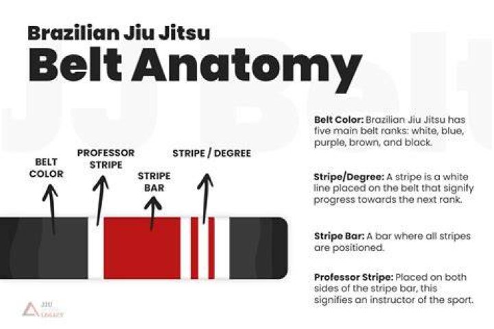 How many stripes does a Jiu-Jitsu belt have?