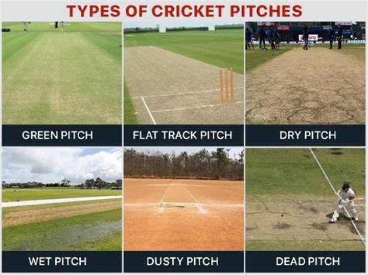 How many stumps are placed on a cricket pitch?