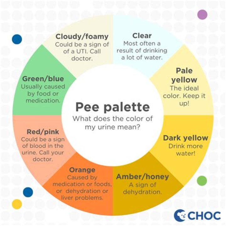 How many times a night should you pee?