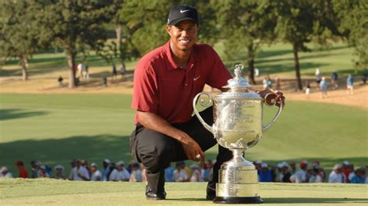 How many times has Tiger Woods finished second in majors?
