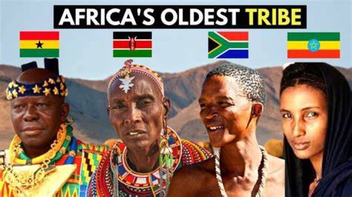 How many tribes are in South Africa?