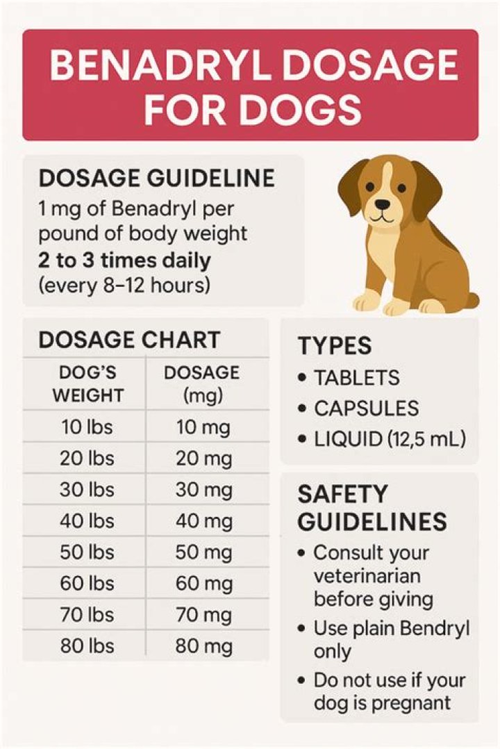 How much Benadryl per day can I give my dog?