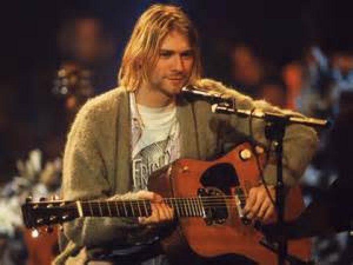 How much did Kurt Cobain's unplugged guitar sell for?