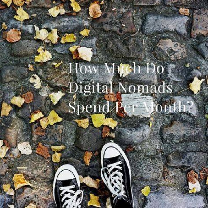 How much do digital nomads spend?