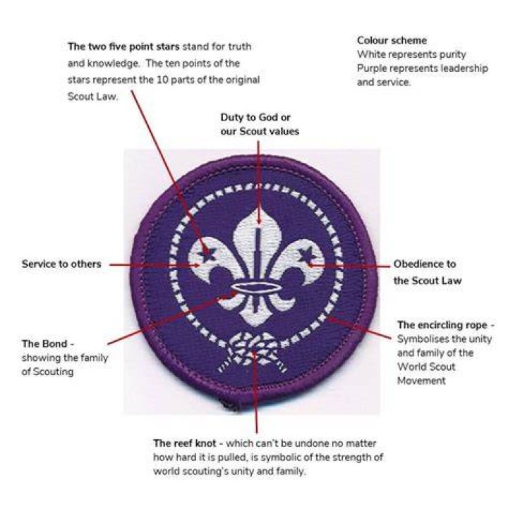 How much do pro scouts make MLB?