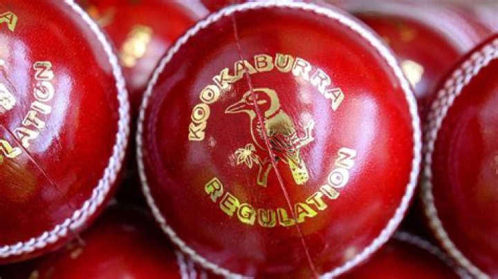 How much does a Kookaburra ball cost?