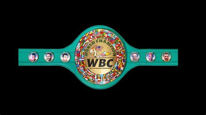 How much does a WBC belt cost?