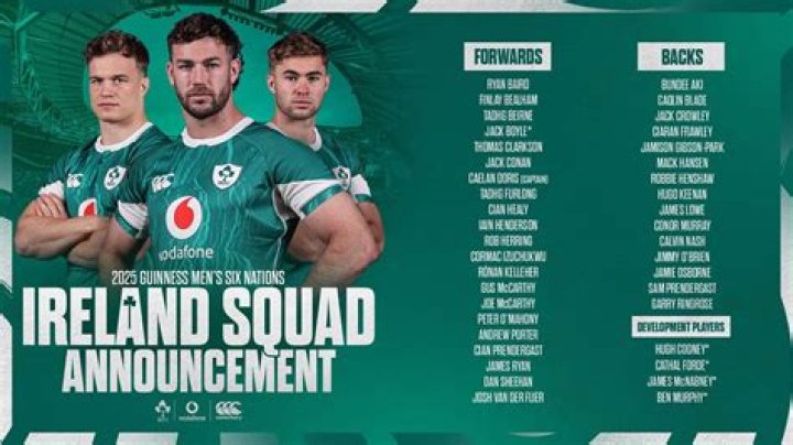 How much does an Irish rugby player make?