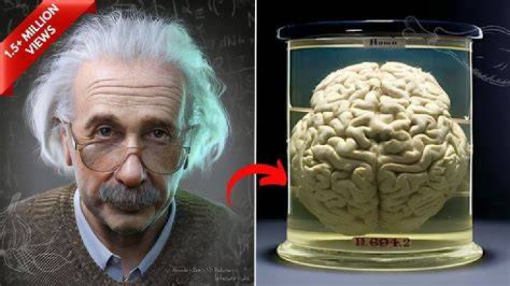 How much does Einstein's brain weigh?