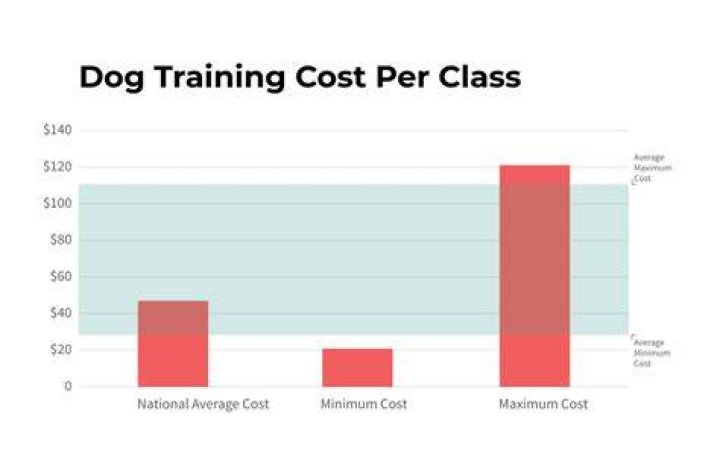 How much does it cost to train a tennis player?