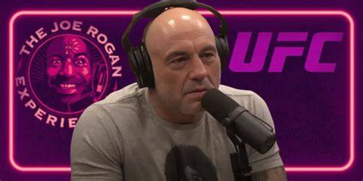 How much does Joe Rogan make UFC?