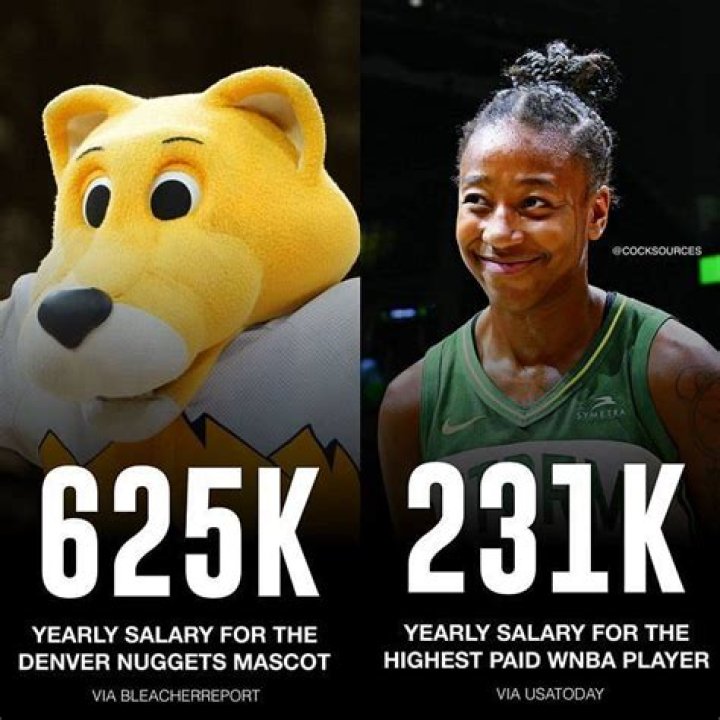 How much does the Denver Nuggets mascot make?