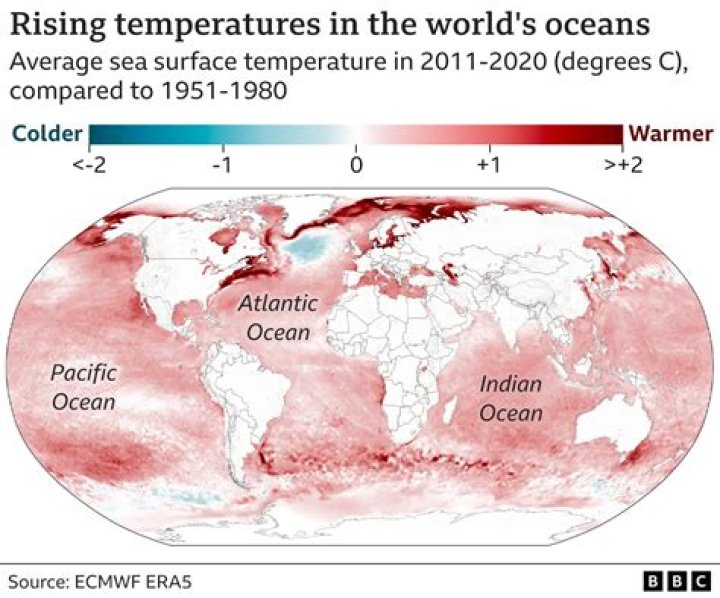 How much has the Earth warmed in the past 10 years?