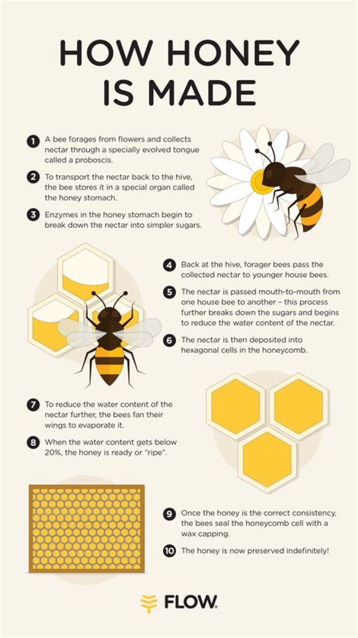 How much honey can I give my 3 year old?