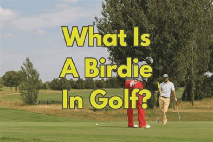 How much is a birdie in golf?