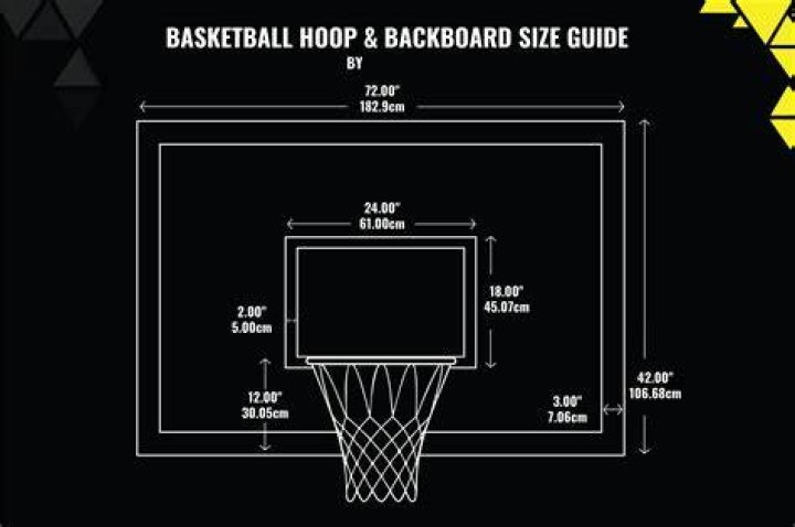 How much is a professional NBA hoop?