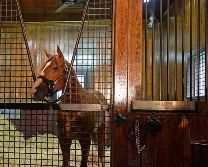 How much is justify stud fee?