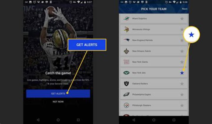 How much is NFL app?