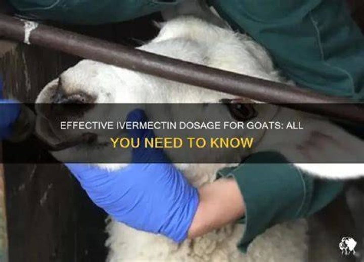 How much ivermectin do you give goats?