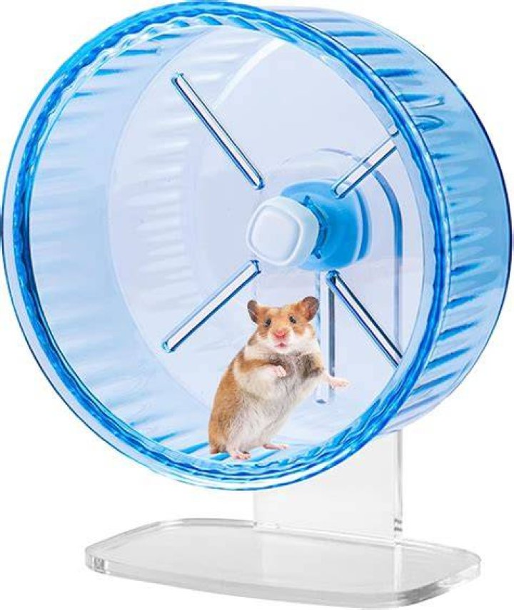 How much power can a hamster wheel produce?