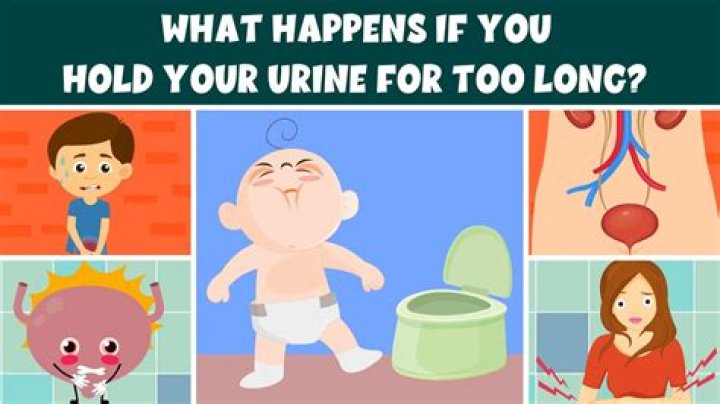 How much urine should you put in compost?